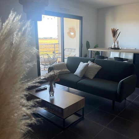 Appartement Vue Vigne Perpignan Zewnętrze zdjęcie