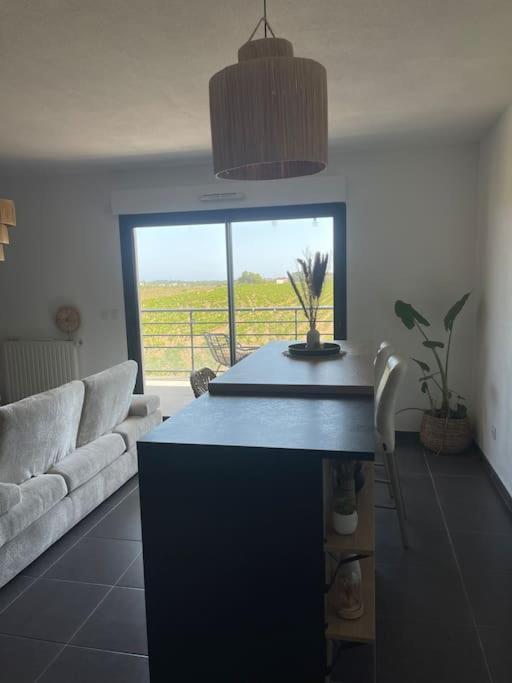 Appartement Vue Vigne Perpignan Zewnętrze zdjęcie