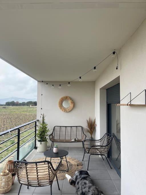 Appartement Vue Vigne Perpignan Zewnętrze zdjęcie