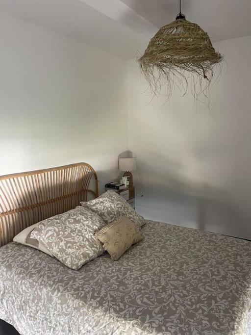 Appartement Vue Vigne Perpignan Zewnętrze zdjęcie