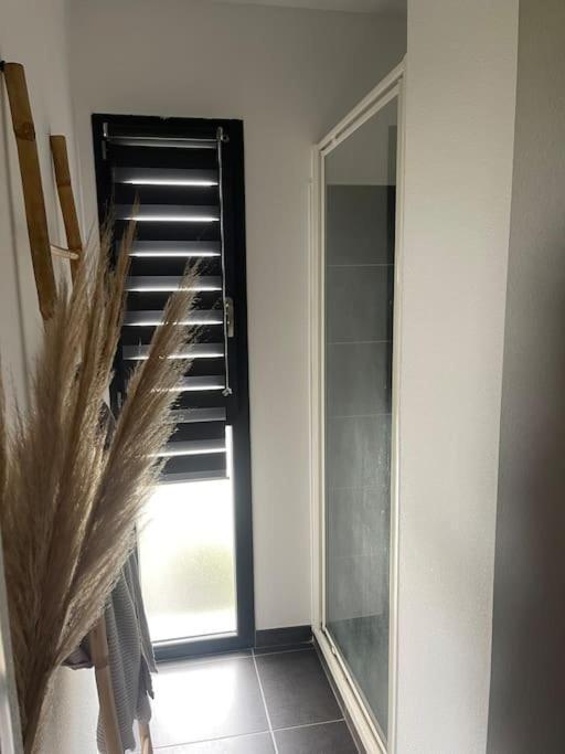 Appartement Vue Vigne Perpignan Zewnętrze zdjęcie