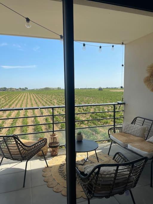 Appartement Vue Vigne Perpignan Zewnętrze zdjęcie