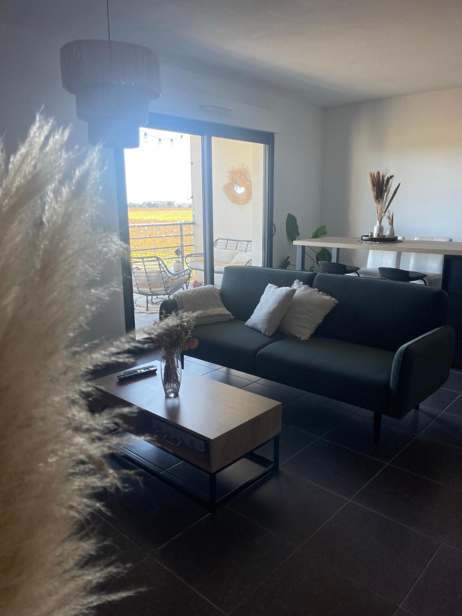 Appartement Vue Vigne Perpignan Zewnętrze zdjęcie